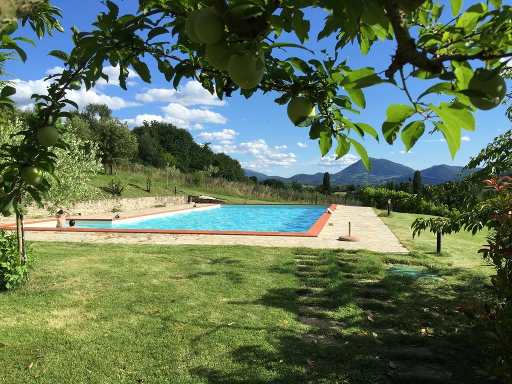 Agricola Caicucci Villa Montone  Værelse billede