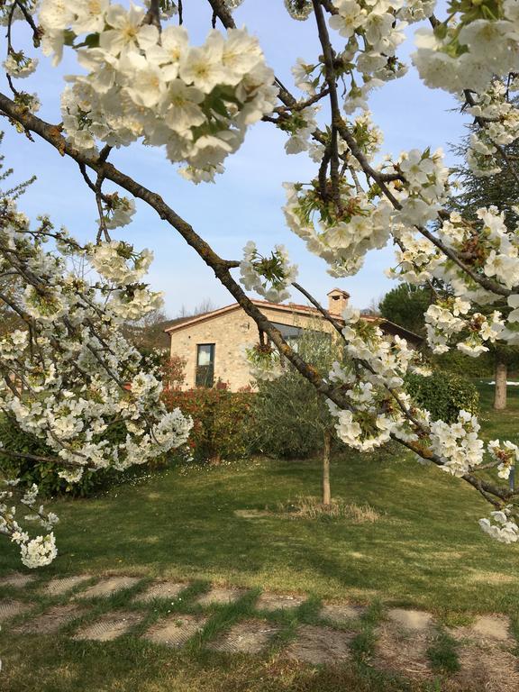 Agricola Caicucci Villa Montone  Eksteriør billede